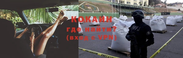 прущие грибы Навашино