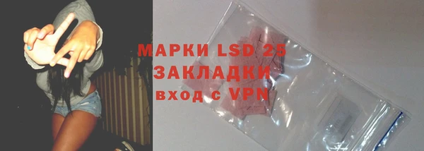 прущие грибы Навашино