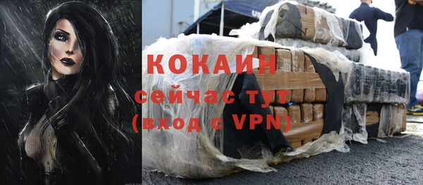 прущие грибы Навашино