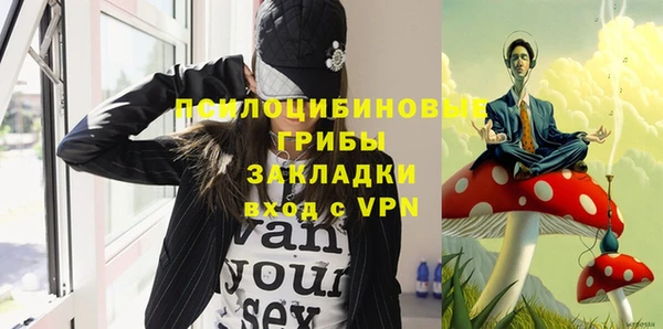 прущие грибы Навашино