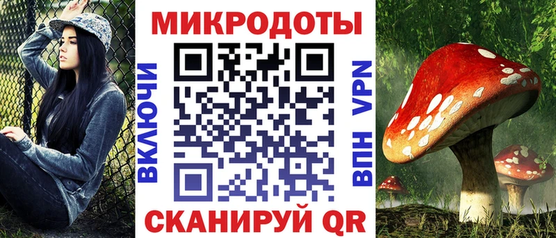 Псилоцибиновые грибы MAGIC MUSHROOMS Купить Камбарка