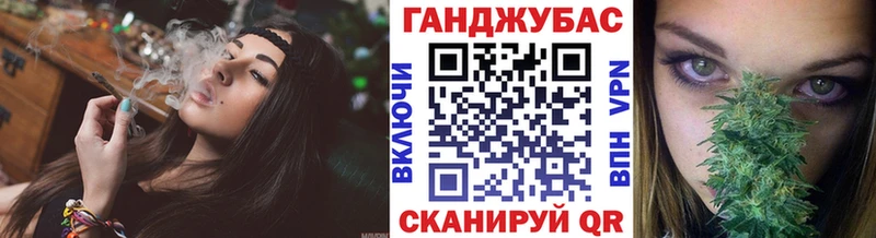 Купить где  Камбарка  Конопля гибрид 